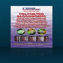 CULTIWATED BLOODWORMS 100g